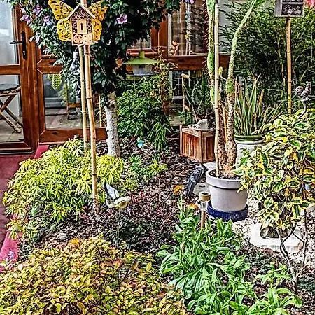 Bed & Breakfast Un Moment De Douceur Nancy