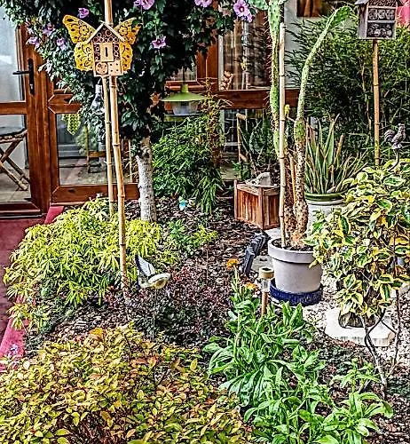 Couette-café Un Moment De Douceur Nancy